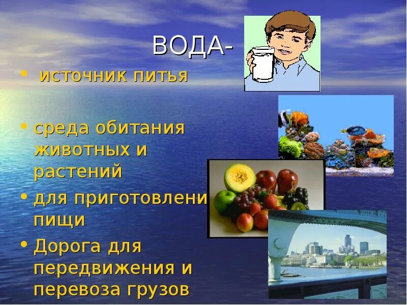 Какое значение имеет вода для растений. Роль воды на земле. какое значение вода имеет для растений животных человека. вода для животных и растений. значение воды для человека и животных.