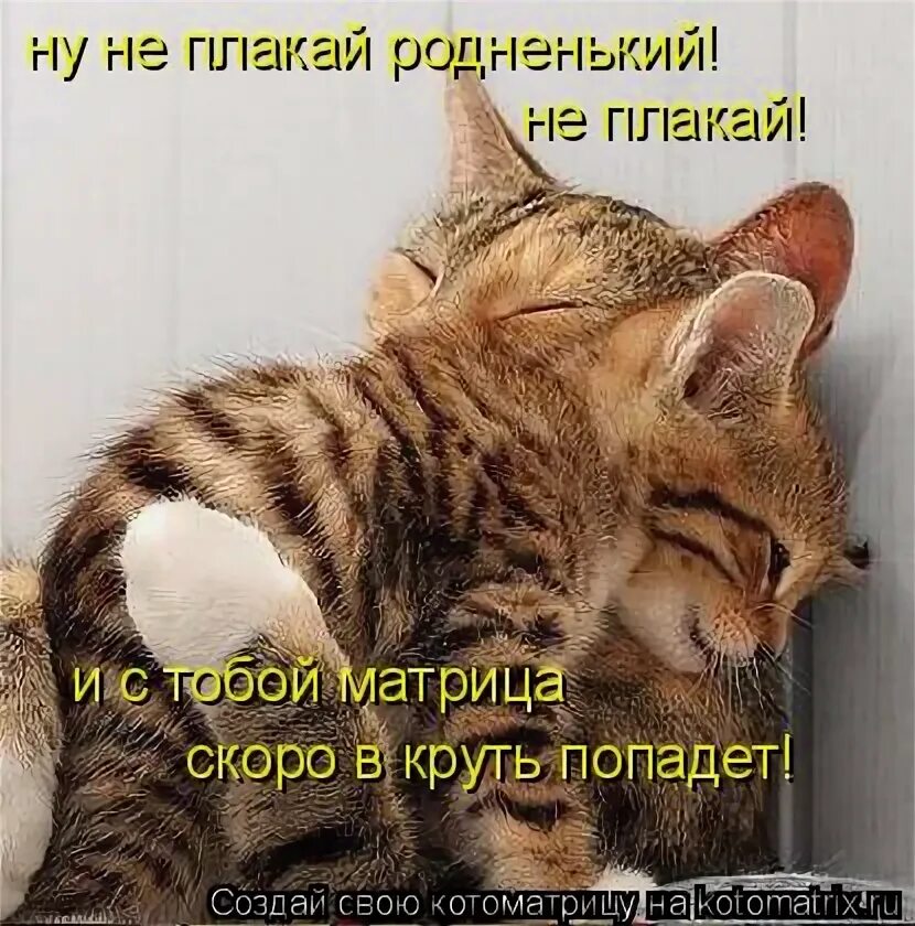 Группа непара альбомы. Не плачь и. Не плачь и. Группа бумер исполнители. Обложка песни плачь.