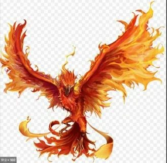 Phoenix kai текст