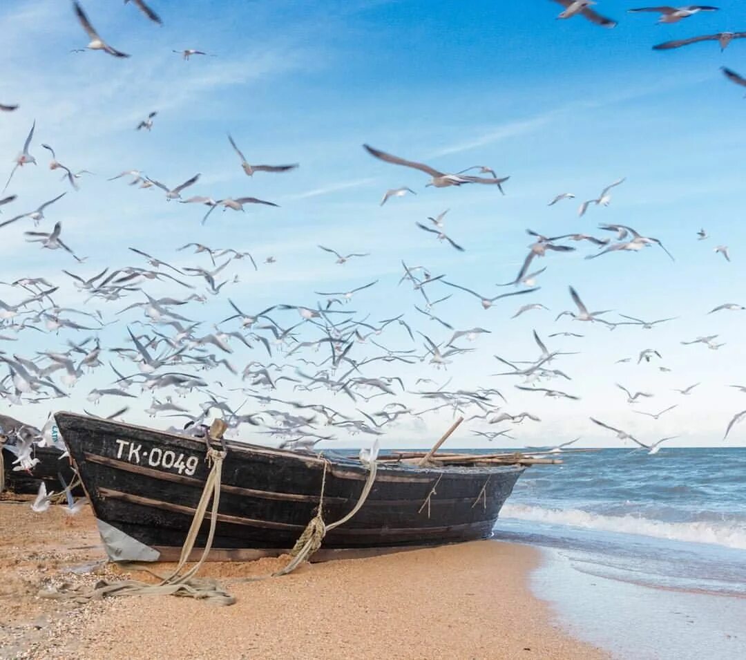 Азовское море Таманский полуостров пляж. Тамань море. Азовское море Тамань. Тамань пейзаж. Лодка тамань