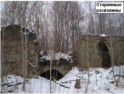 Погода в оржицах ломоносовского. Оржицы Ломоносовский район. Деревня Оржицы Ломоносовский район. Развалины в Оржицах. Усадьба Оржицы.