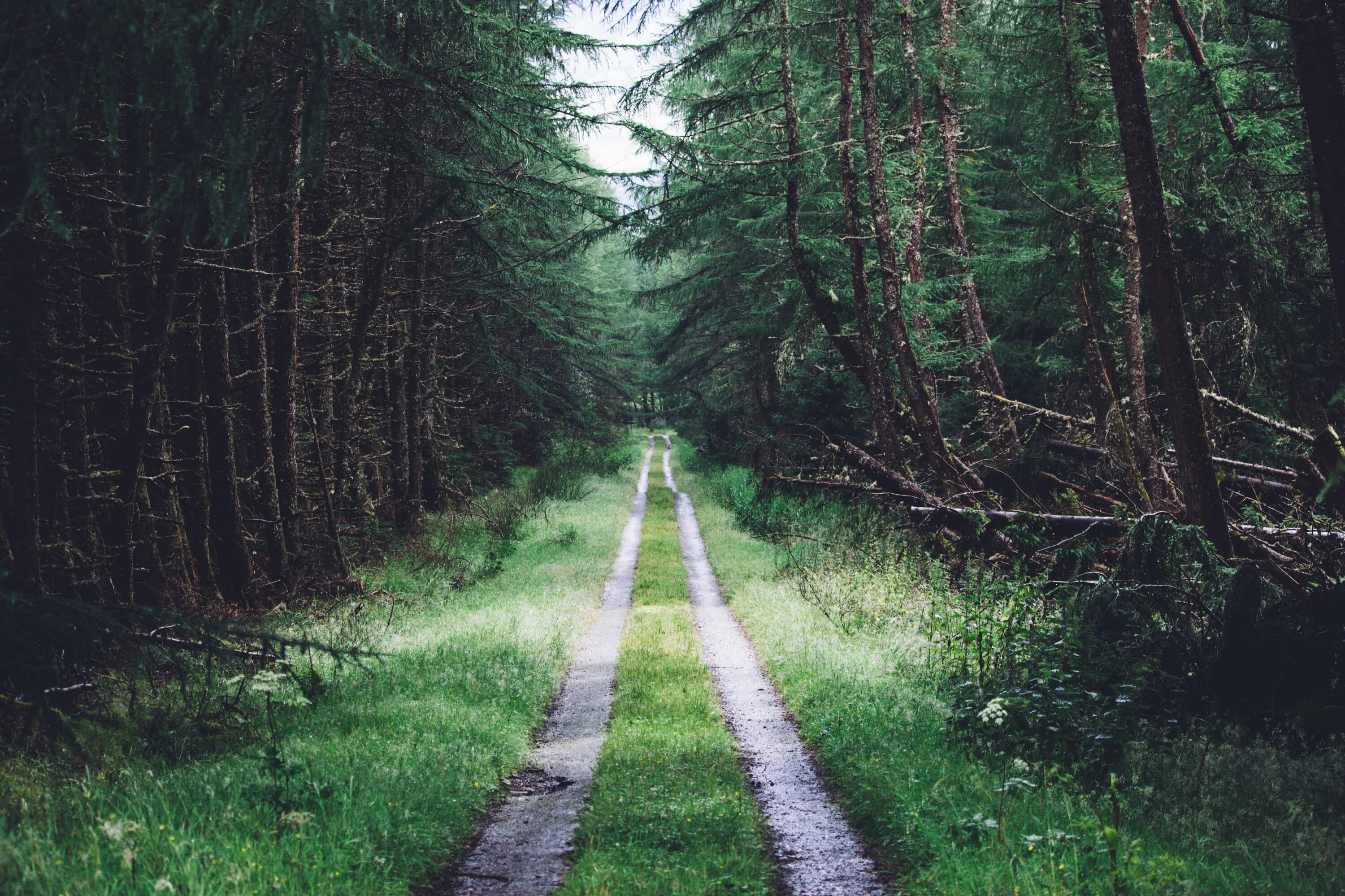 Ya path
