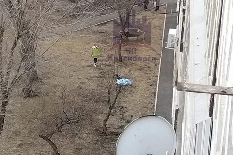 9 этаж выпасть