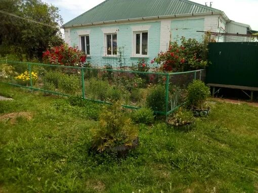 Село новенькое Ивнянский район Белгородская. Село Сырцево Ивнянский район Белгородская область. Новенькое Ивнянский район. Дом Егоровка.