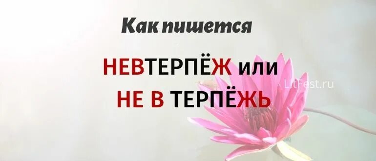 Ь после шипящих в разных частях. Мягкий знак после шипящих в наречиях. Как пишется слово не в терпежь. Уж замуж невтерпеж исключения. Правописание ь после шипящих на конце слова.