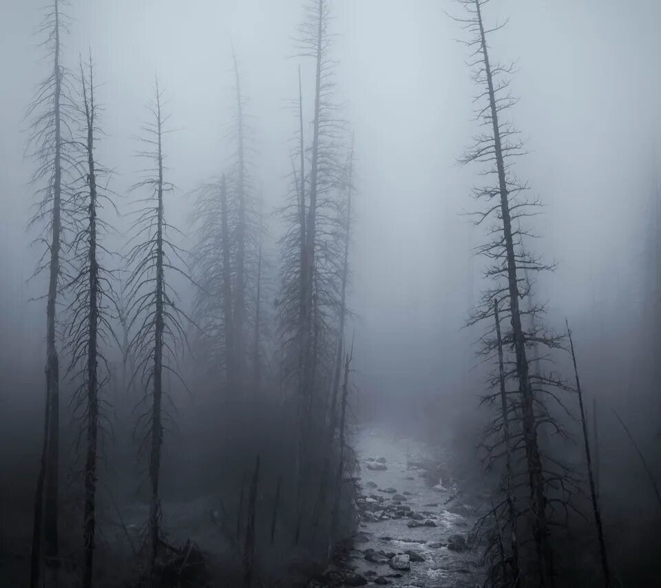 Страшный мод from the fog