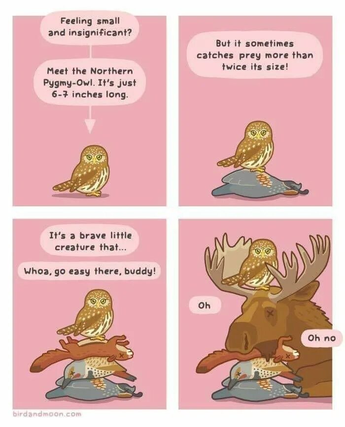 More than twice. There are twice as many numbers as numbers. More than twice. Как сыч мем. Строчу отчёты гиф.