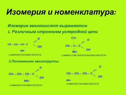 Аминокислоты их виды