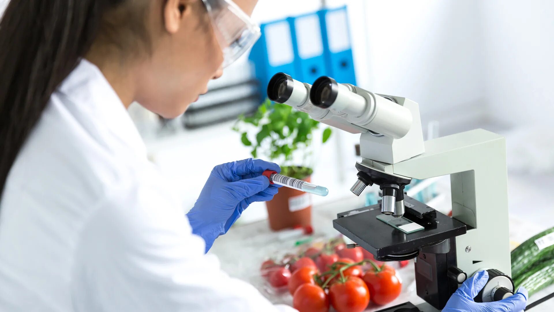 Исследование продукции в лаборатории