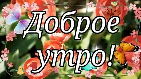 Гороскоп доброе утро 06.03 2024