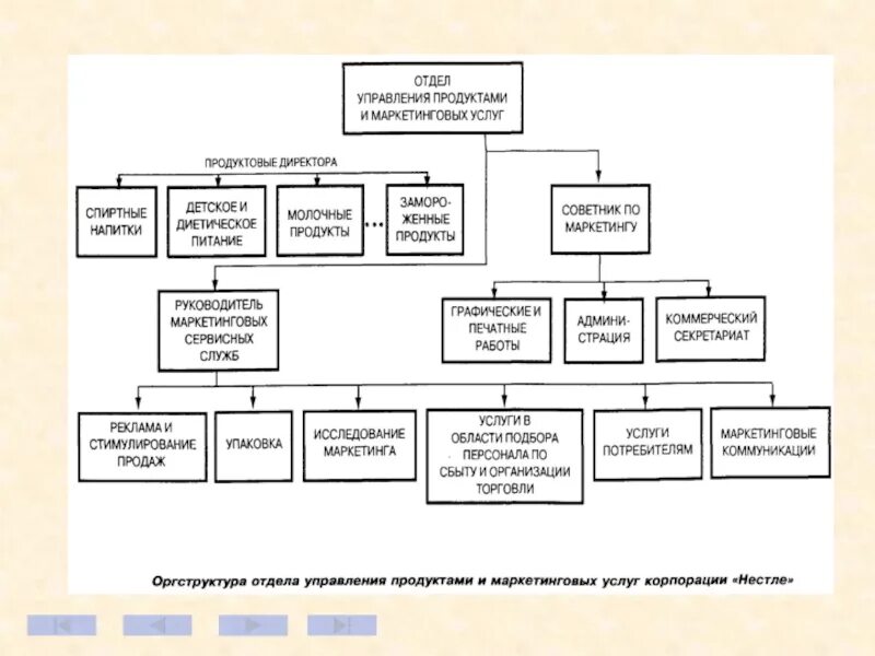 Структура секретариата. Директор по маркетингу схема. Структура секретариата схема. Продукт должности директора по маркетингу. Структура отдела маркетинга директор по маркетингу.