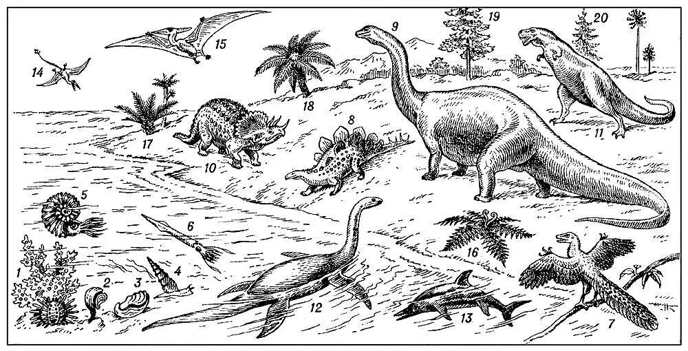 Жизнь в воде эволюция. Меловой период мезозойской эры. Мезозойская Эра динозавры рисунки. Юрский период мезозойской эры. Мезозойская Эра периоды динозавры.