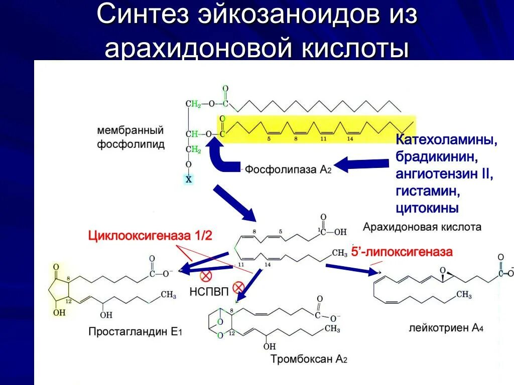 Арахидоновая кислота купить