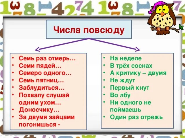 Числа окружают нас повсюду. Цифры в окружающем мире. Где встречаются цифры в повседневной жизни. Цифра 7 повсюду.