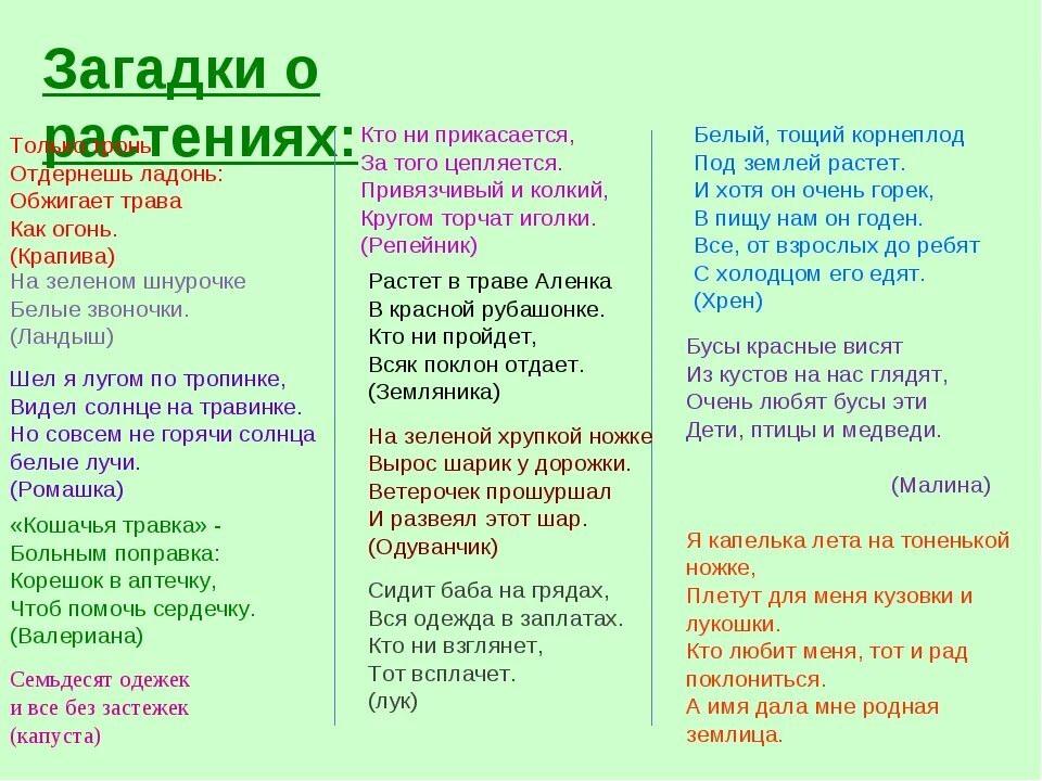 Загадки про цветы для дошкольников. Загадки про растения. Загадки про растения с ответами. Загадки про растения 3 класс. Загадки про цветы.