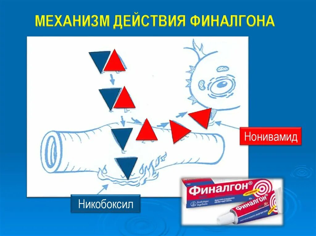 Нонивамид никобоксил. Финалгон механизм действия. Мазь финалгон механизм действия. Механизм раздражающего действия Финалгона. Механизм действия финалгон в фармакологии.