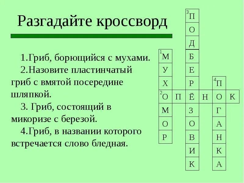 5 вопросов по теме