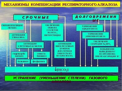Механизмы компенсации