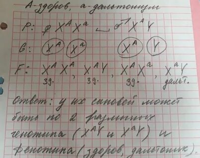 В семье где оба родителя