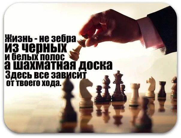 Лучший следующий ход