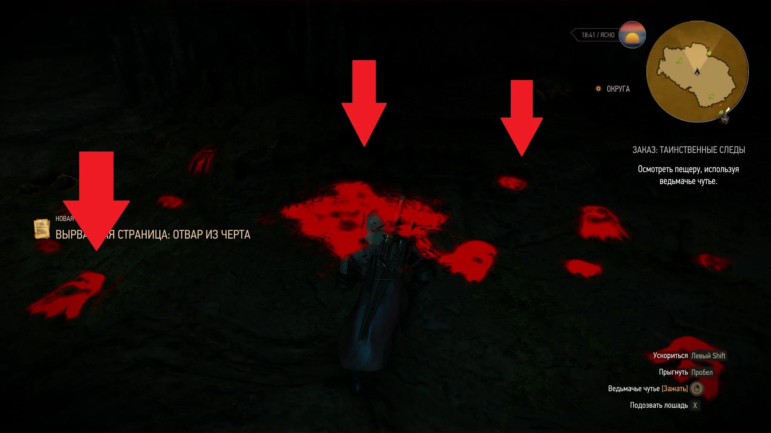 Залипье ведьмак 3. Ведьмак 3 таинственные следы. Квен ведьмак 3. Таинственные следы ведьмак 3. Ведьмак 3 таинственные следы.