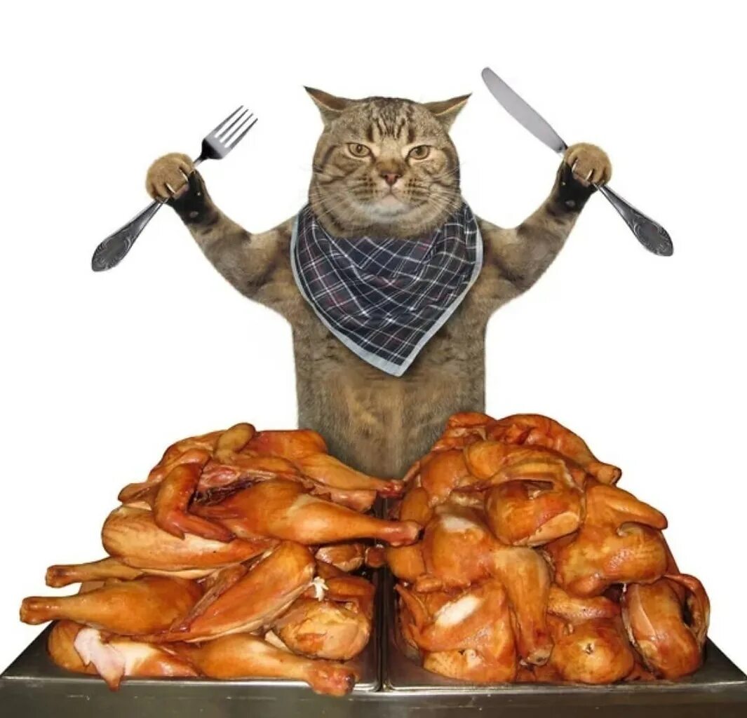 i?id=962f941fb1908c4a37d0d48fed67964b_l-