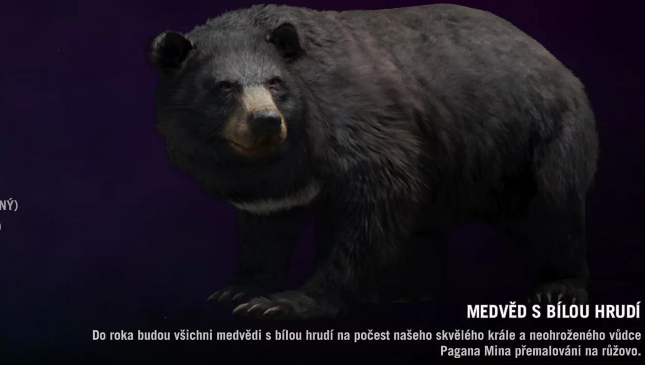 Карта острова фар край 3. Кабаны фар край 3. Аванпост far cry. Пещерный медведь днд. Аванпост far cry.