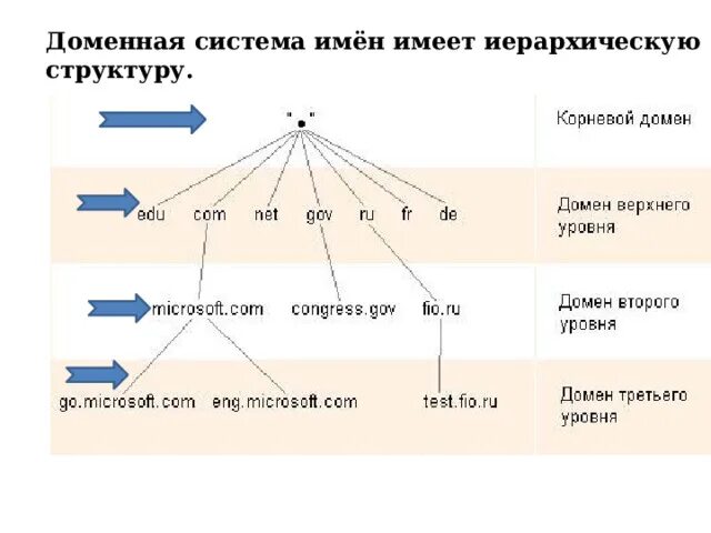 Доменная система структура