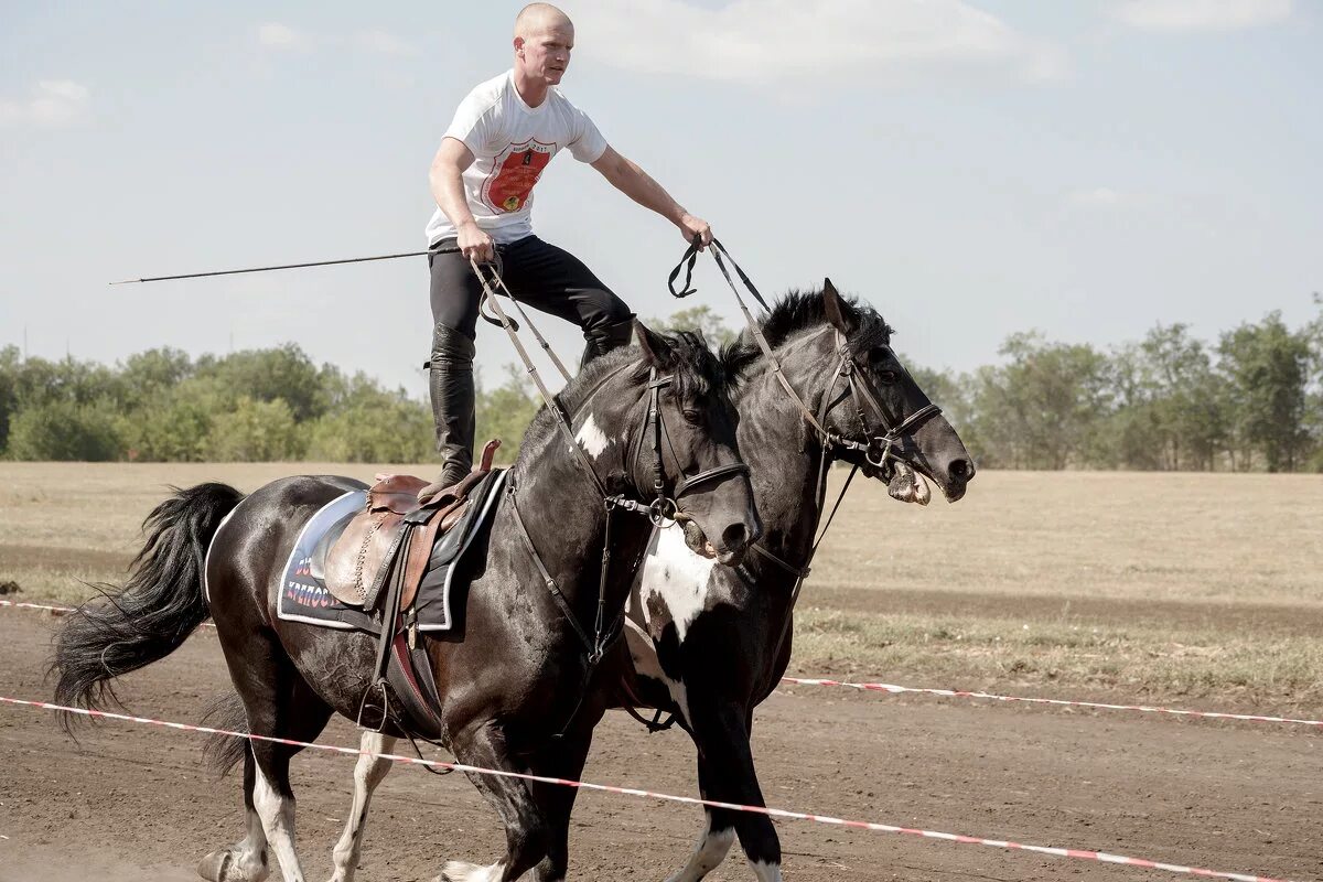 Лихой наездник