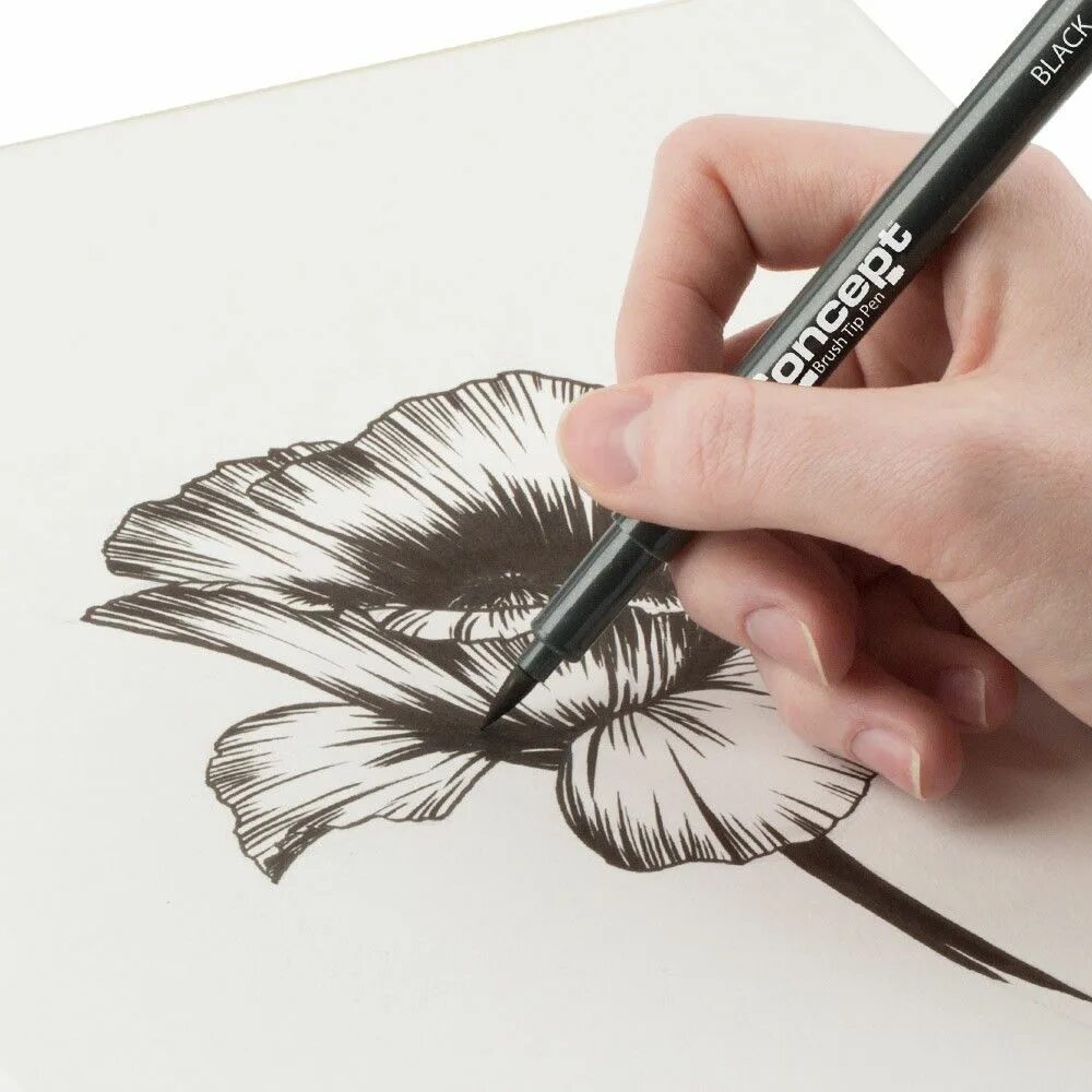 Pen drawing pad. Скетчи ручкой Brush Pen. Ручка кисть для рисования черная. Рисунки на кисти ручкой. Ручки черные с кисточкой.
