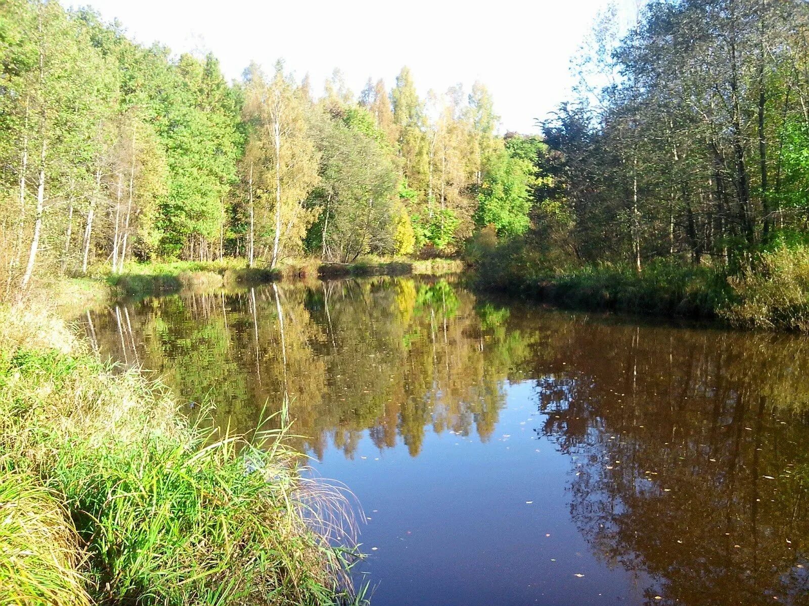 Река сестра московская. Река сестра Клин. Река сестра Клинский район. Река сестра Солнечногорский район. Река большая сестра Московская область.