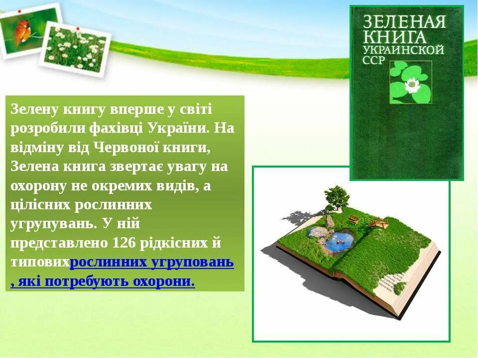 Зеленая книга какая книга. Зелёная книга. Зеленая книга Украины. Зеленая книга книга. Составление зеленой книги.