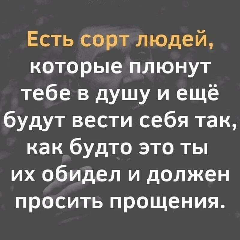 Обиженная обязана. Есть такой сорт людей. Есть сорт людей которые плюнут в душу. Есть сорт людей которые плюнут тебе. Есть сорт людей которые.