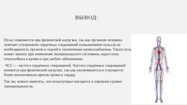 Также на физическом состоянии и. Пульс при физической нагрузке вывод. Вывод об изменении пульса. Пульс после физической нагрузки вывод. При физической нагрузке пульс увеличивается.