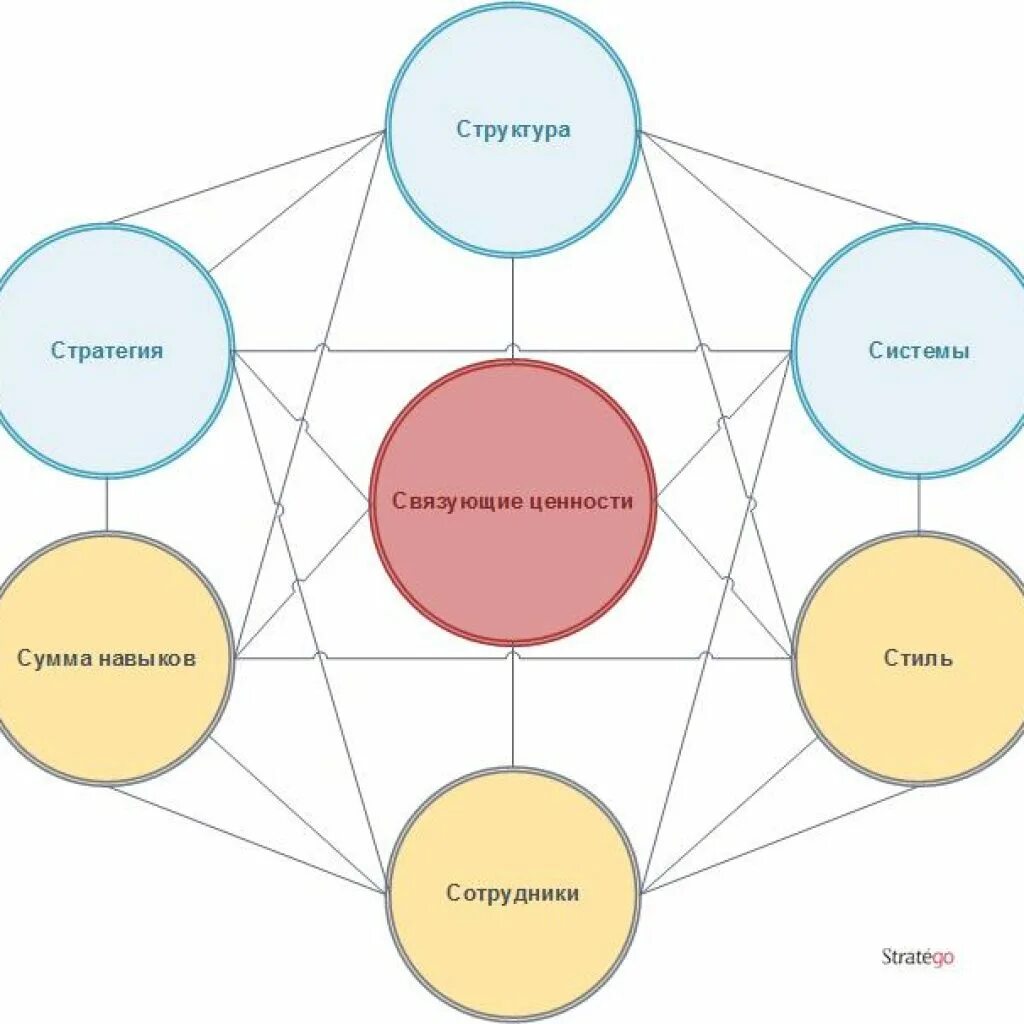 7 элементов организации