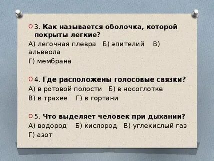Как называется оболочка которой покрыты легкие