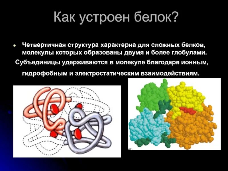 Структура белка представленная глобулой. Четвертичная структура белковой молекулы. Четвертичная структура молекулы белка. Четвертичная структура белковых молекул. Четвертичная структура белков.