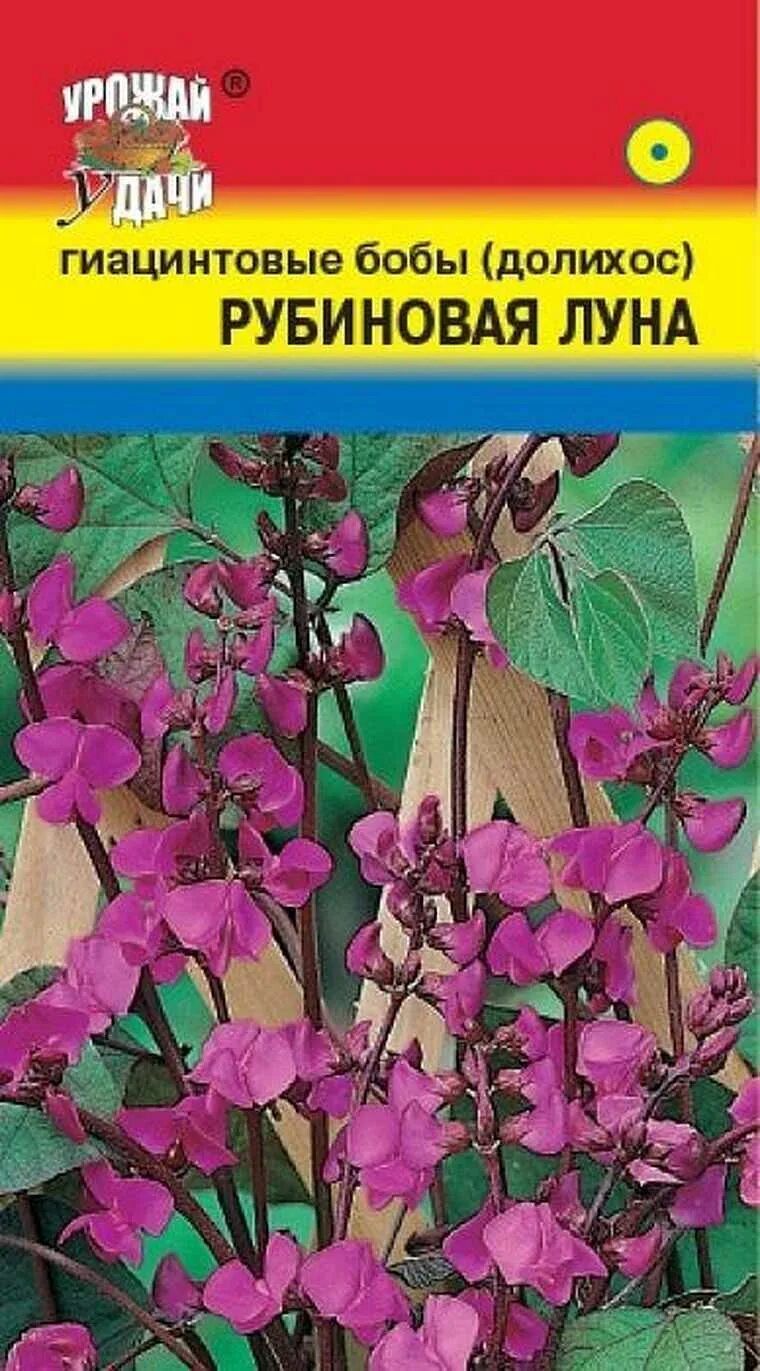 Семена долихос (вьющаяся сирень). Цветы гиацинтовые Бобы долихос. Гиацинтовые Бобы Рубиновая Луна. Долихос купить семена