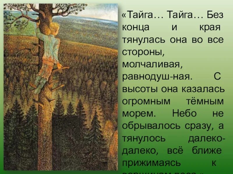 Деревья растут для всех кратчайшее содержание. Васюткино озеро Тайга Тайга без конца и края. Васюткино озеро Астафьев Тайга. Описание тайги в рассказе Васюткино озеро 5 класс. Тайга Тайга без конца и края.