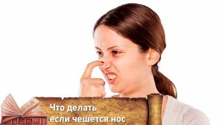 Почему чешут нос. К чему чешется нос. Нос чешется к чему примета. Примета если чешется нос. Зачесался нос примета.