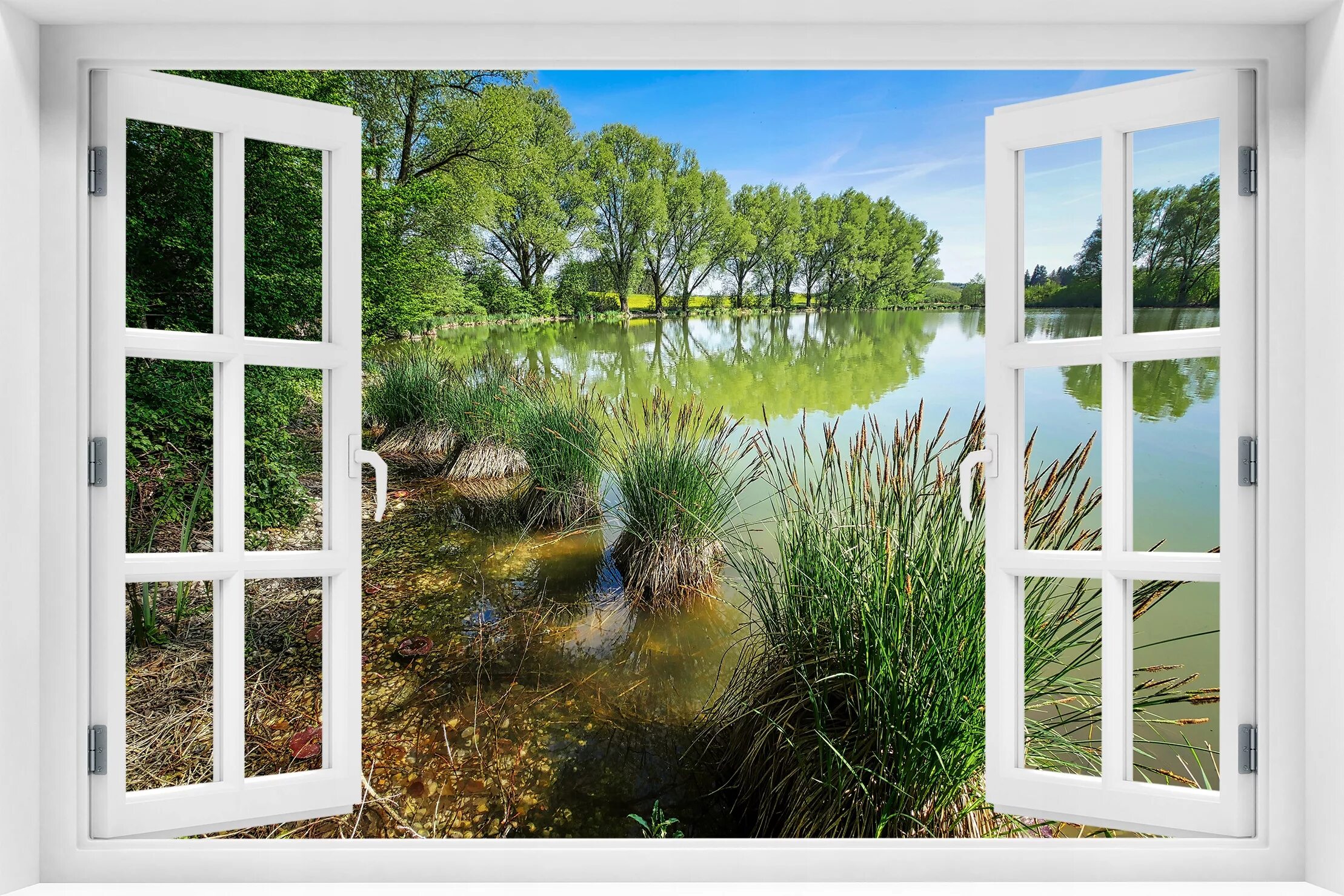 Window poster