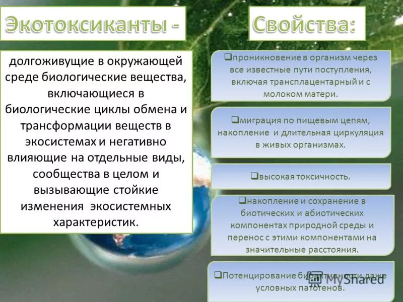 Круговорот кислорода (по е. Круговорот углерода в биосфере. Биосфера - это область существования живого вещества. Как человек изменил природу. Изменение человеком биологической среды.