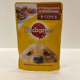 Щенок жидко