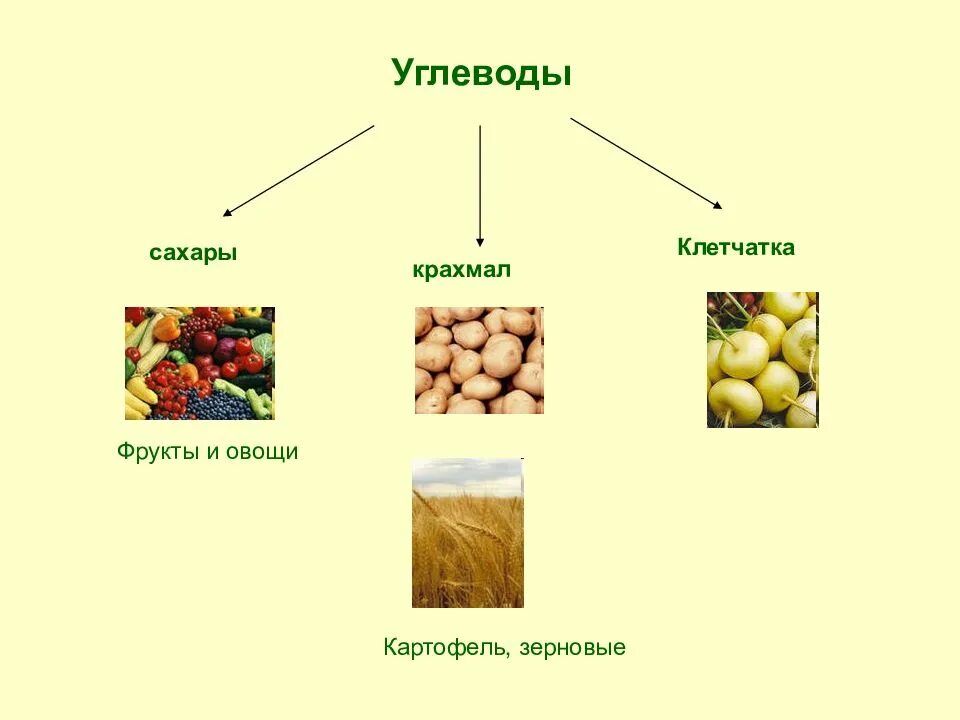 Растительные углеводы продукты. Овощи это углеводы или клетчатка. Клетчатка это углевод. Овощи это клетчатка и углеводы. Углеводы продукты.