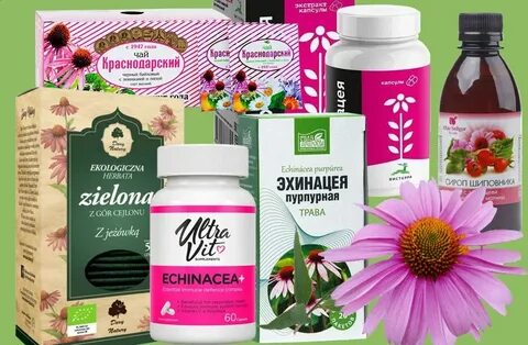 Эхинацея витаиммунит