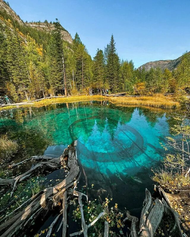 алтайское солнце. ахензее озеро в австрии. девушки на телецком зимой фото. маллалиевы. туры на алтай ганеман.