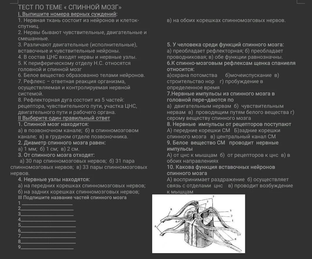 Тест по теме спинной мозг. Строение спинного мозга тест. Тест по биологии спинной мозг. Тест по спинному мозгу.