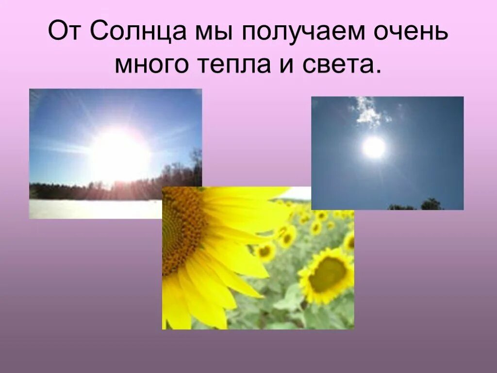 Солнце про тепло. Солнце источник света. Солнце источник тепла. Солнце тепло свет. Солнца света и тепла.