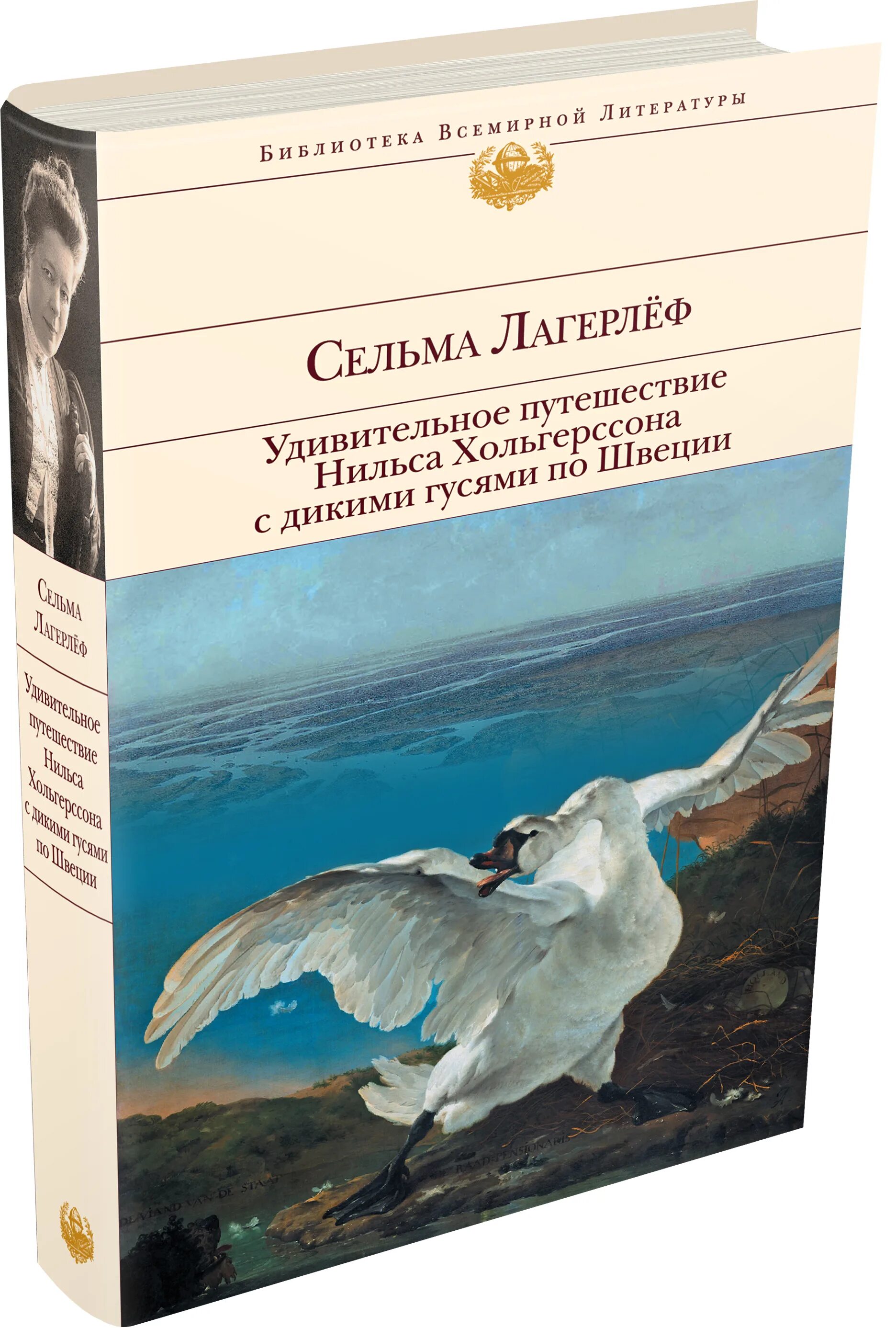 Удивительное путешествие нильса с дикими гусями