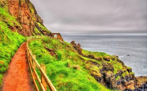 Along the path